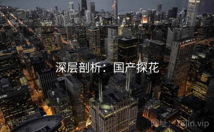 深层剖析：国产探花