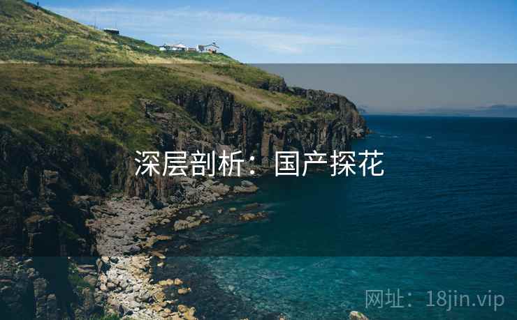 深层剖析：国产探花