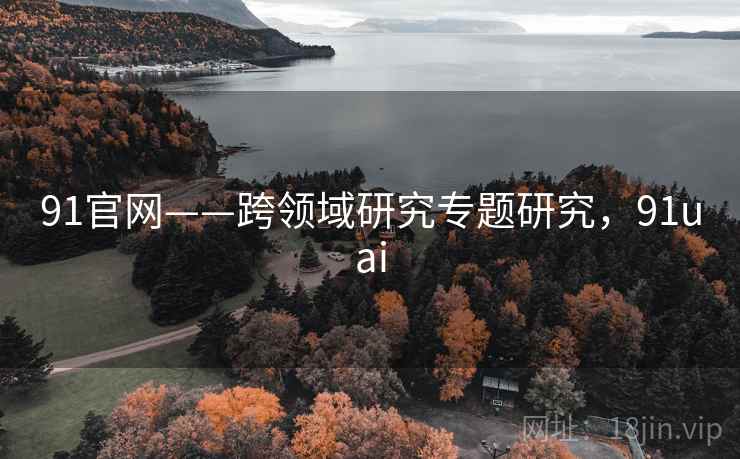 91官网——跨领域研究专题研究，91uai