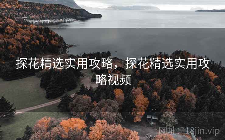 探花精选实用攻略，探花精选实用攻略视频