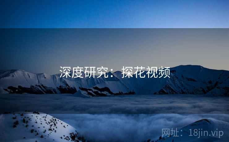 深度研究：探花视频