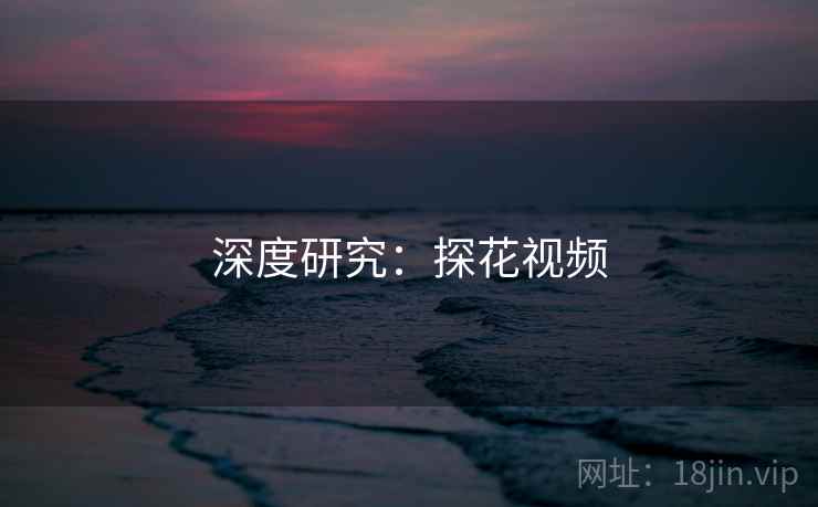 深度研究：探花视频