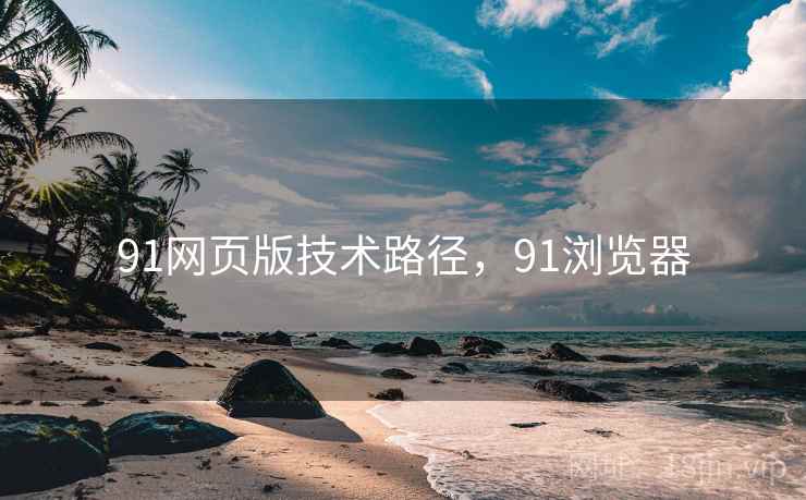 91网页版技术路径，91浏览器