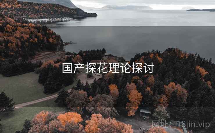 国产探花理论探讨