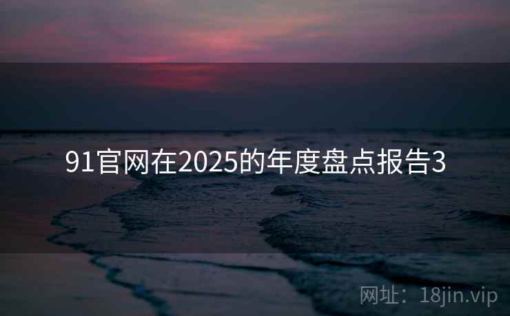 91官网在2025的年度盘点报告3