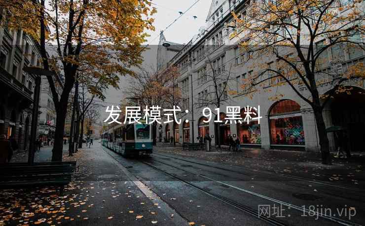 发展模式：91黑料