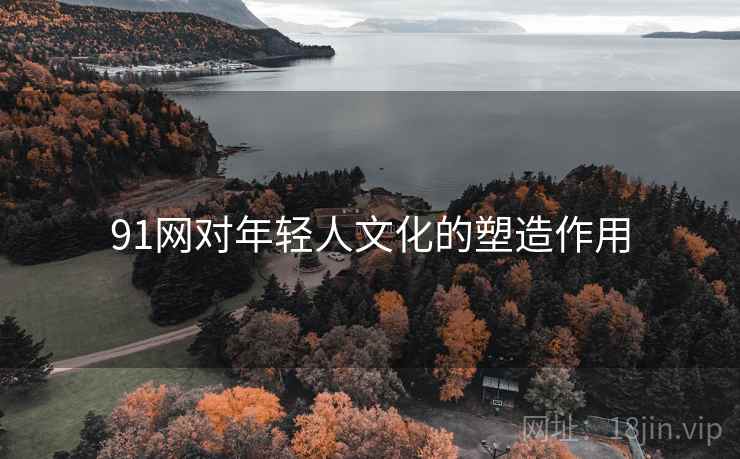 91网对年轻人文化的塑造作用