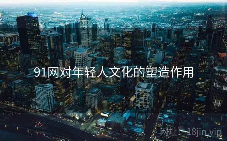 91网对年轻人文化的塑造作用
