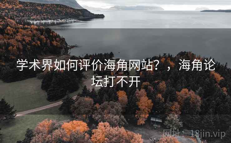 学术界如何评价海角网站？，海角论坛打不开