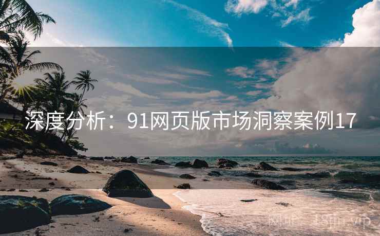 深度分析:91网页版市场洞察案例17 深度分析:91网页版市场洞察案例17