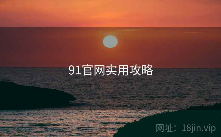 91官网实用攻略